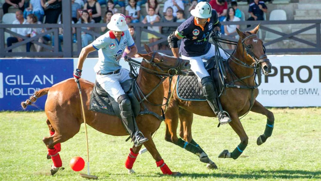 Polo Culture Polo Culture